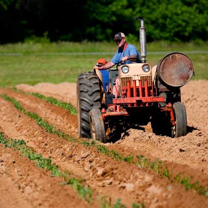 AlgaVantage-farming-01