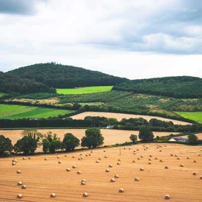 AlgaVantage-produce-farming